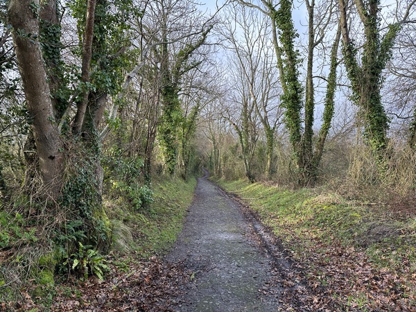 Nous approchons d'Auberville.&nbsp;