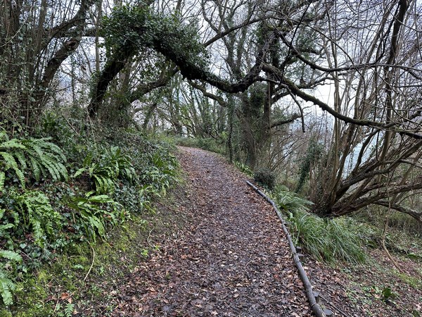 Le site des Falaises Noires est classé depuis 1995.