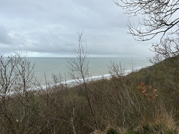 Nous pouvons revoir la mer, du haut des Falaises Noires.