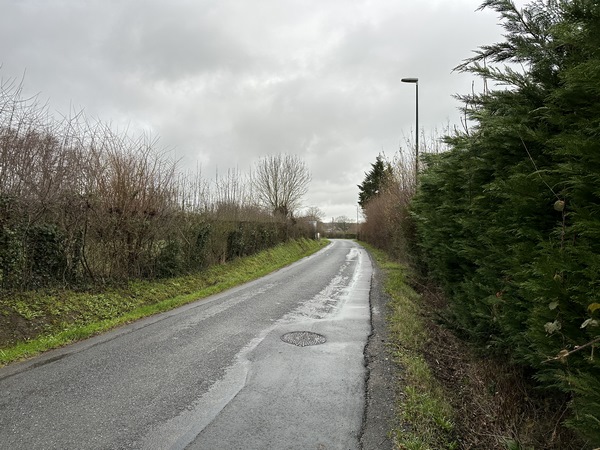 Nous retrouvons le GR223. Après Auberville, nous devons marcher sur la route de la Corniche. Ce n'est pas notre passage préféré, mais il y a peu de circulation en cette saison.