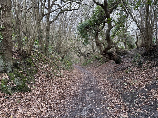 Nous retrouvons les chemins au niveau de la Butte de Houlgate.&nbsp;