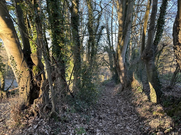 Chemin de la Butte Druval, près du haras de la Huderie.