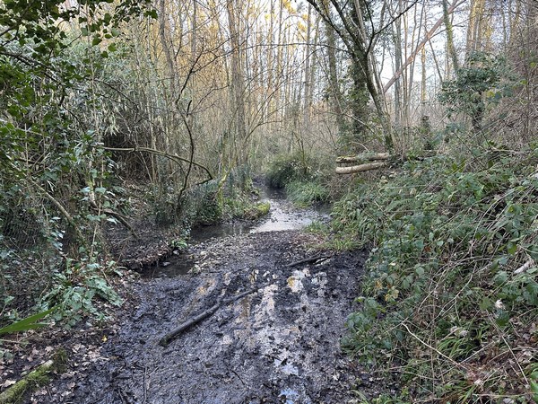 Le GR26 suit sur quelques mètres le fossé 03 de Glanville. Impossible de ne pas patauger. C'est ce passage qui justifie le parapluie rouge de ce circuit. Une déviation est proposée dans le descriptif.