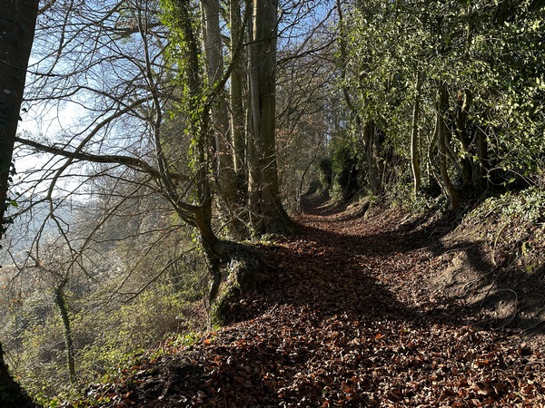 Nous sommes maintenant sur chemin des Fauldes, dernier chemin sur le GR26.