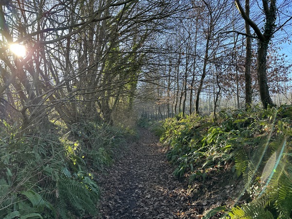 Nous quittons le chemin du Bois Drumard pour monter vers le GR26.