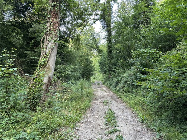 Je descends vers le fond de Brunval. Le vallon est couvert de bois jusqu'à Saint-Adrien. En fond de vallon, le Chemin de la Source peut être assez boueux en période humide.
