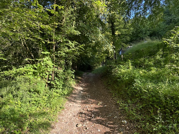 Le chemin qui monte dans le bois de Roquefort est bien raide, mais il n'est pas très long et l'effort sera bien récompensé !