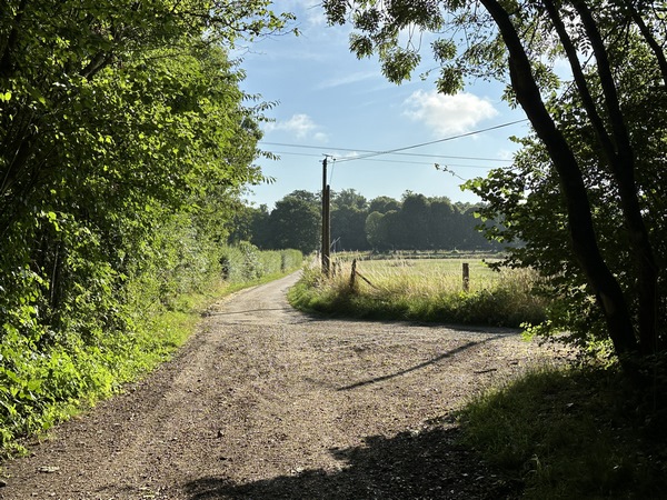 Je quitte le bois Mine d'Orge. Le GR25 tourne à droite, je continue tout droit.