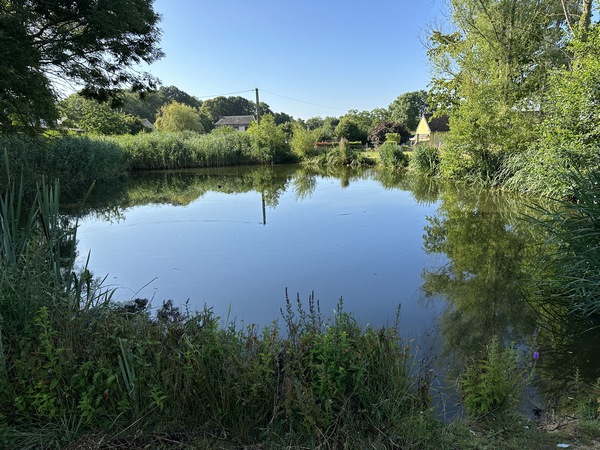 Je longe la mare d'Incarville.