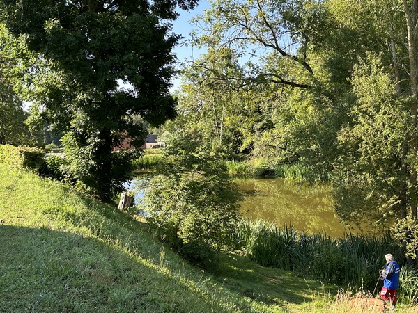 Je traverse les Bocquereaux et le Bois Varin par le Sentier de Découverte. C'est le nom indiqué sur la carte IGN, mais il n'y a ici aucun panneau pédagogique. J'arrive à St-Aubin du côté du stade et de la mairie.