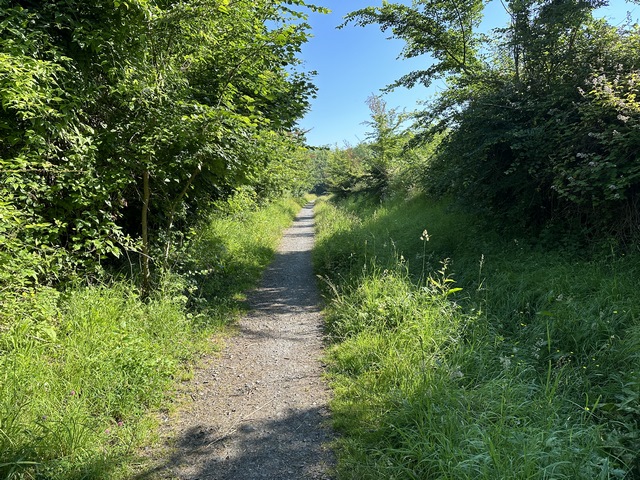 Nous arrivons sur le chemin des Frémonts pour suivre le GR223 jusqu'à Villerville.