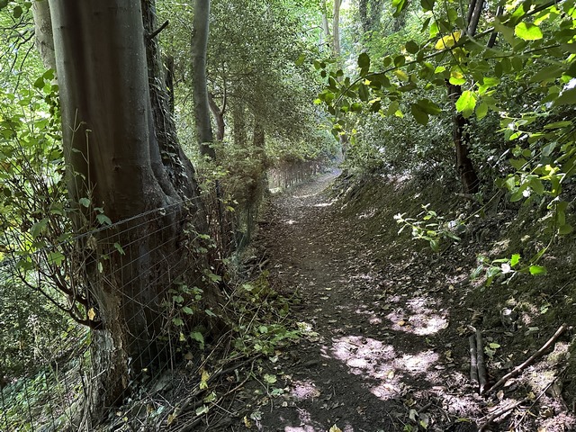 Le chemin se glisse entre les parcs des manoirs.