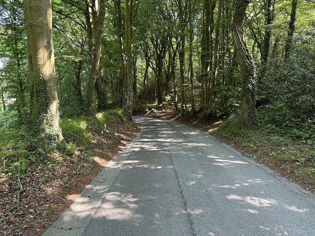Nous descendons du plateau par le Chemin des Terrois, petite route tranquille qui traverse les bois du coteau.