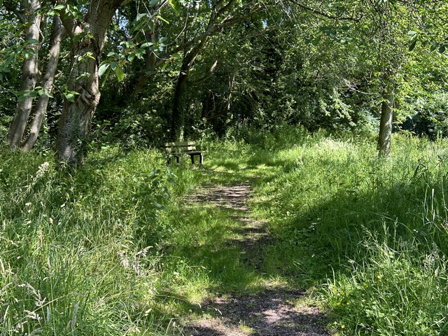 Nous traversons le Parc des Graves, aménagé à l'ouest de Villerville (bancs, tables de pique-nique) et retrouvons la Place du Lavoir.