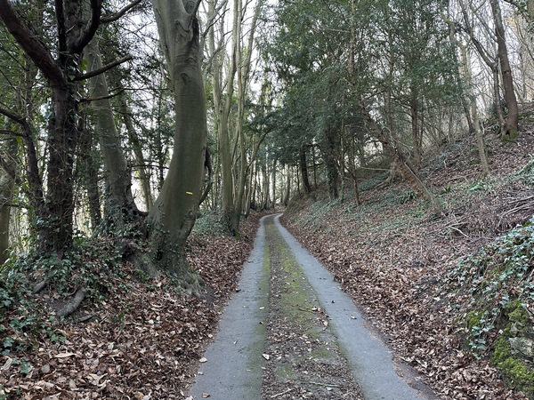Le pourcentage routes / chemins de ce circuit est trompeur : voilà ce qui est compté comme route en raison de l'asphalte ! Elles sont nombreuses les "routes" de ce genre sur le circuit.