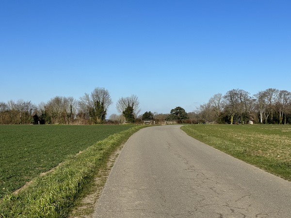Nous sortons d'Ablon par l'ouest. Nous allons quitter la route pour tourner sur le chemin Galon qui entre dans le bosquet de gauche.