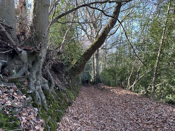 Le chemin se prolonge dans la descente vers le Val de Crémanville.