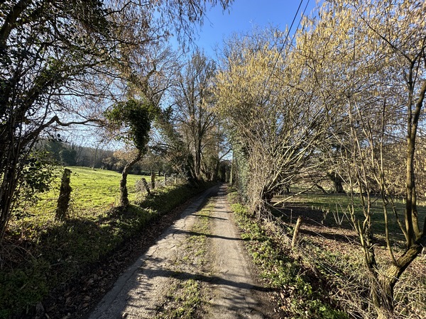 Nous allons quitter la "route" pour tourner à droite sur le prochain chemin, et descendre vers l'Orange.