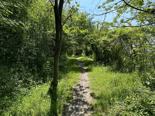 Me voilà sur le chemin de Crosne.