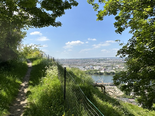 Profitez du Chemin de Crosne pendant qu’il existe encore ! Certains réclament d’en faire une piste cyclable, c’est à dire de bitumer ce merveilleux sentier !