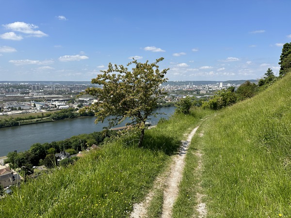 On voit mieux le coteau ici. C'est un coteau très incliné, mais de nombreux buissons protégeraient le maladroit de la chute.