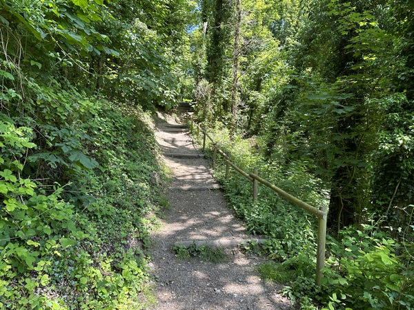 J'arrive au niveau de la Route Neuve (Côte des camions). Je sors le gilet fluo du sac...