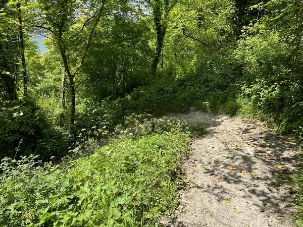 Le chemin descend en zigzag. La pente est plus importante que sur le chemin de Crosne. A moins de chercher les défis, il faut suivre ce circuit dans ce sens.