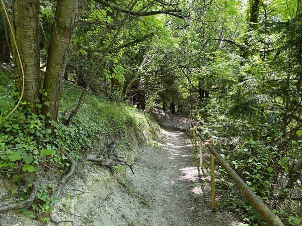 Ce coteau est intégré dans le parc Lacoste de la ville d'Amfreville-la-Mi-Voie.
