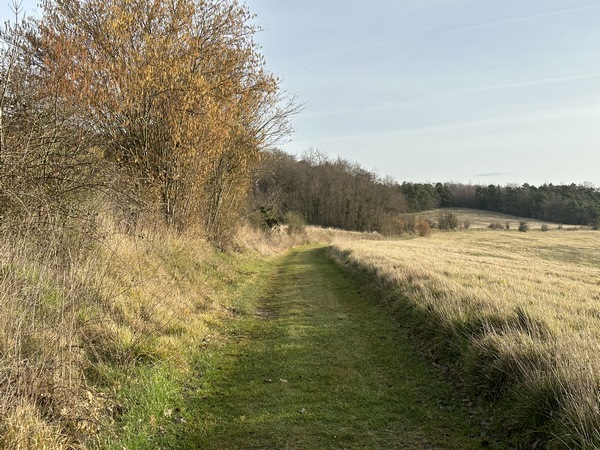 Le chemin est vraiment charmant. J'ai tracé cet itinéraire en suivant, sur la carte, les lignes noires de quelques chemins... j'ai eu la main heureuse.