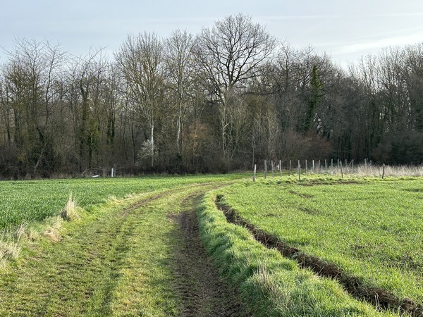Le chemin va longer le Bois Quenin.