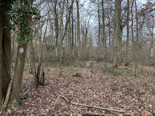 Au bout du chemin, j'ai tourné à droite. Ce nouveau chemin est à peine visible, mais il est marqué de quelques traces blanches.&nbsp;