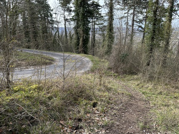 Le sentier se prolonge jusqu'à la route qui relie Heudreville au hameau de Bois Ricard.