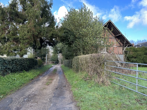 Nous suivons le chemin de la Robinette en direction du bois.