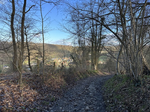 Nous descendons dans le bois Waddington.