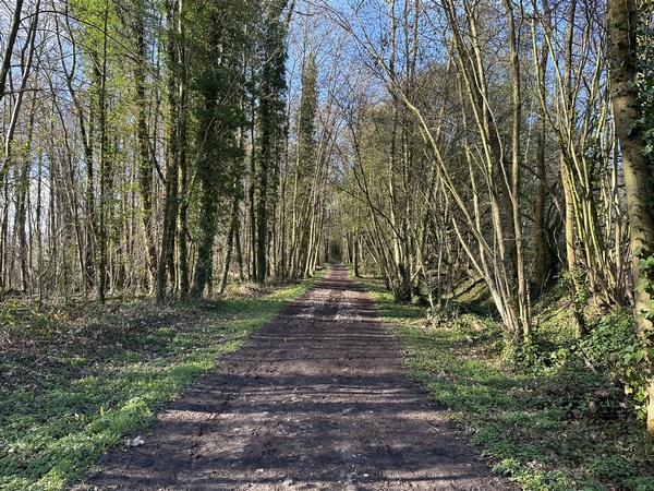 Nous sommes en forêt communale de Fontaine-sous-Préaux. A droite, bien caché, se trouve le château du Mont Perreux.