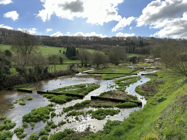 Ici, les anciennes cressonnières du Robec.