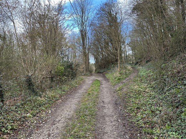 Nous allons quitter le chemin du Vieux Moulin pour suivre le chemin plus petit à droite.