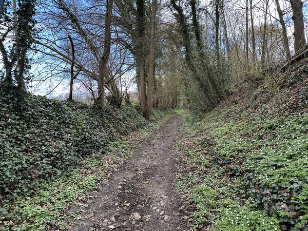 A aucun moment nous ne rejoignons la route de Darnetal.&nbsp;