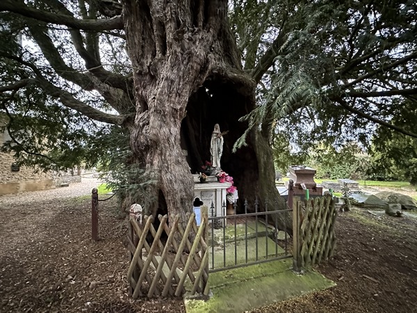 Impossible de ne pas entrer dans le cimetière pour admirer les deux ifs millénaires. Le premier abrite un oratoire dédié à Notre-Dame de Lourdes.