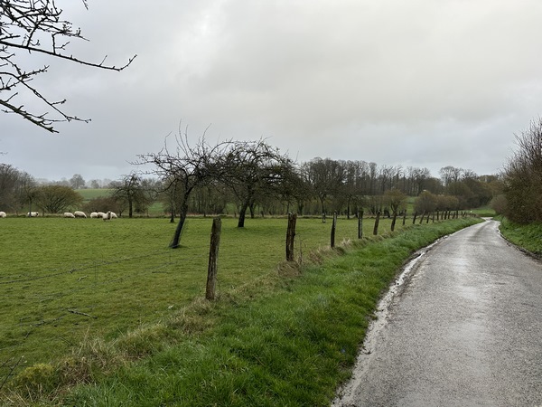 Nous sortons du bourg par la rue de la Mare Godart, et sous la pluie.