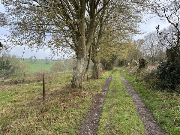 Chemin de la Croix Sainte Marie.