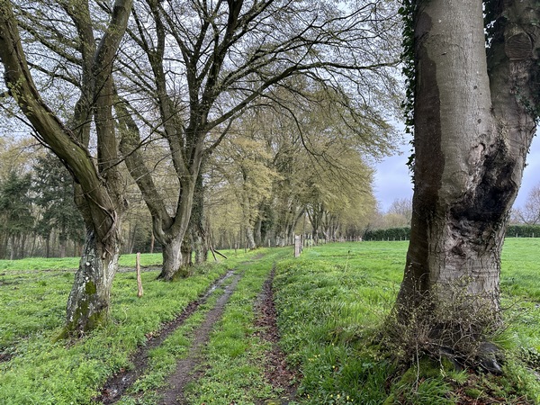 Chemin de la Croix Sainte Marie.