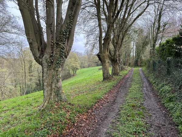 Nous arrivons au niveau du hameau des Broches, nous allons descendre dans le vallon.