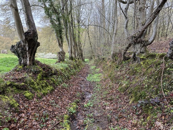 Nous suivons le chemin qui descend dans le vallon. Il est labouré par les eaux de ruissellement. Il est possible de rester sur la rue des Broches.
