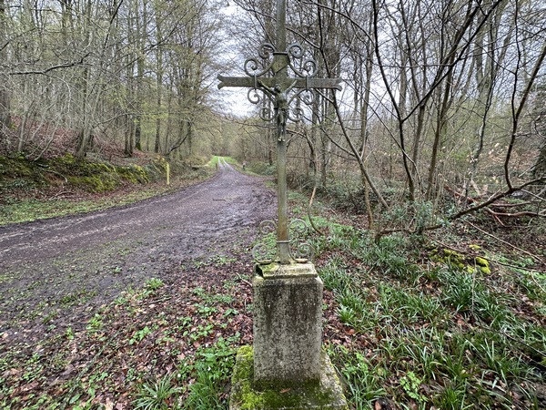 Nous entrons en forêt domaniale de Brotonne en passant près de la croix Ecce Homo, qui tourne le dos au chemin.&nbsp;