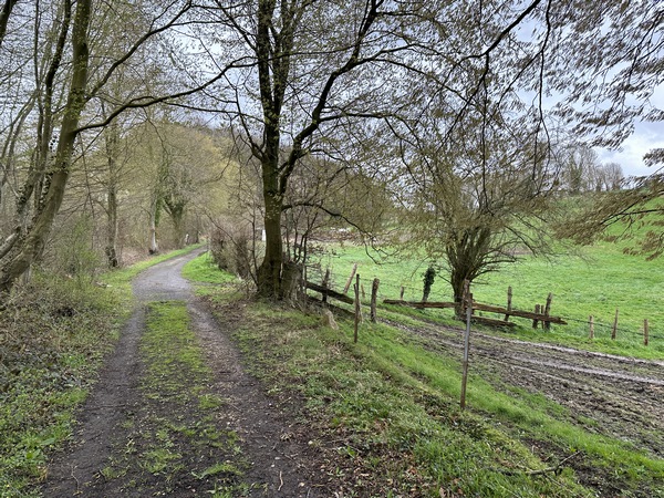 Nous sortons de la forêt domaniale par un chemin de l'ancienne maison forestière de la Petite Houssaye.