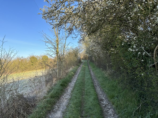 Il a gelé cette nuit, mais la nature nous rappelle que nous sommes bien au printemps.