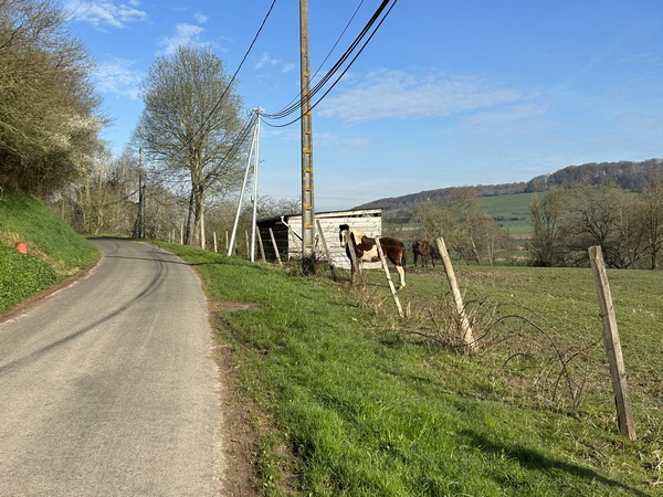 Nous suivons maintenant la petite route qui longe la rivière. Nous sommes tranquilles, les voitures roulent sur la D16, sur l'autre rive.