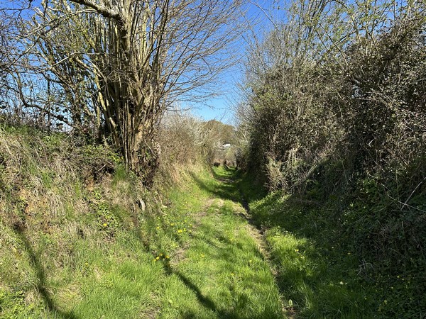 Peu avant le hameau du Criquet, le chemin se creuse.
