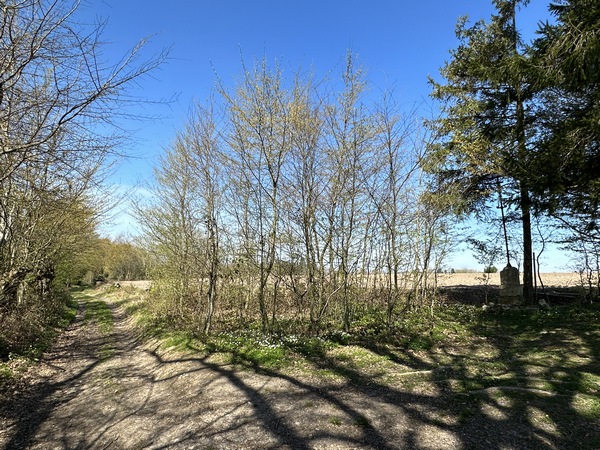 Après le Criquet, nous suivons le chemin de la croix Sainte-Anne. On peut voir la croix à droite.